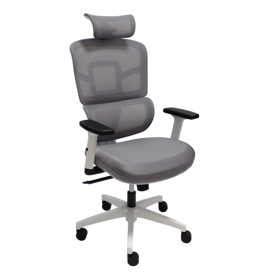 Ergo White - Ergo White Ergo White - Ergo White