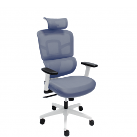 ERGO WHITE - ERGO BLUE ERGO WHITE - ERGO BLUE