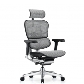 ERGOHUMAN NEW - ERGOHUMAN GRAY ERGOHUMAN NEW - ERGOHUMAN GRAY