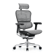 ERGOHUMAN NEW - ERGOHUMAN GRAY ERGOHUMAN NEW - ERGOHUMAN GRAY